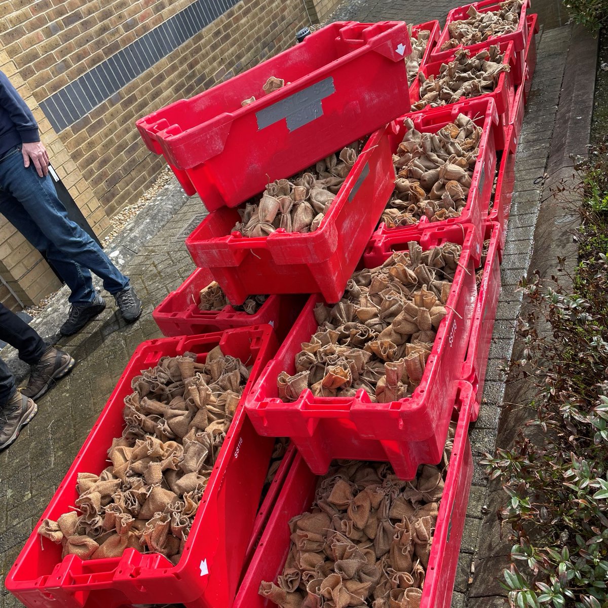 Pantaenius UK are thrilled to have been part of the team that helped @EULIFERemedies and @OceanCTrust achieve 20,000 bags for Project Seagrass! They have now covered the first ever seagrass restoration hectare in the Solent.

Follow @NMAPlymouth for project updates #thinkocean