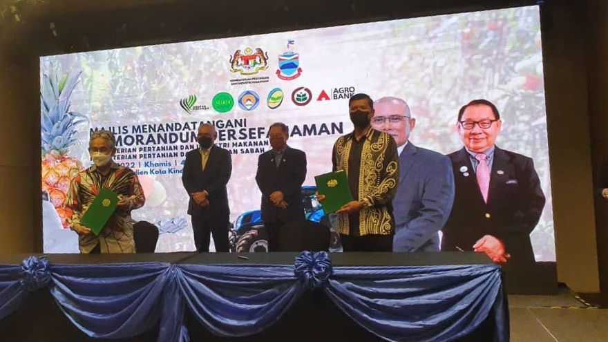 SEDCOSabah's tweet photo. Pada 7-4-22 SEDCO telah menandatangani memorandum persefahaman di antara SEDCO dan AGROBANK untuk mewujudkan kerjasama strategik dalam aktiviti pelaburan dan meningkatkan sinergi antara dua organisasi dibawah MAFI dan MAFS dalam membangunkan Sabah Agro-Industrial Precinct (SAIP). https://t.co/q3I7HlUTs6