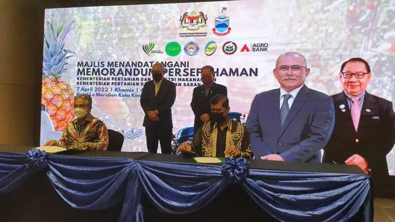 SEDCOSabah's tweet photo. Pada 7-4-22 SEDCO telah menandatangani memorandum persefahaman di antara SEDCO dan AGROBANK untuk mewujudkan kerjasama strategik dalam aktiviti pelaburan dan meningkatkan sinergi antara dua organisasi dibawah MAFI dan MAFS dalam membangunkan Sabah Agro-Industrial Precinct (SAIP). https://t.co/q3I7HlUTs6