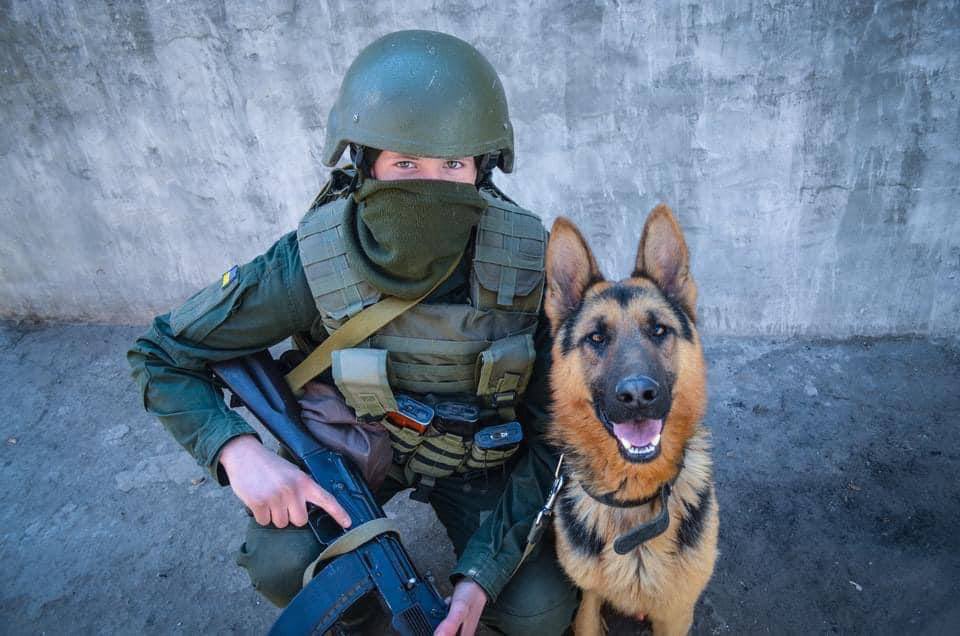 Illia Ponomarenko 🇺🇦 tweet media