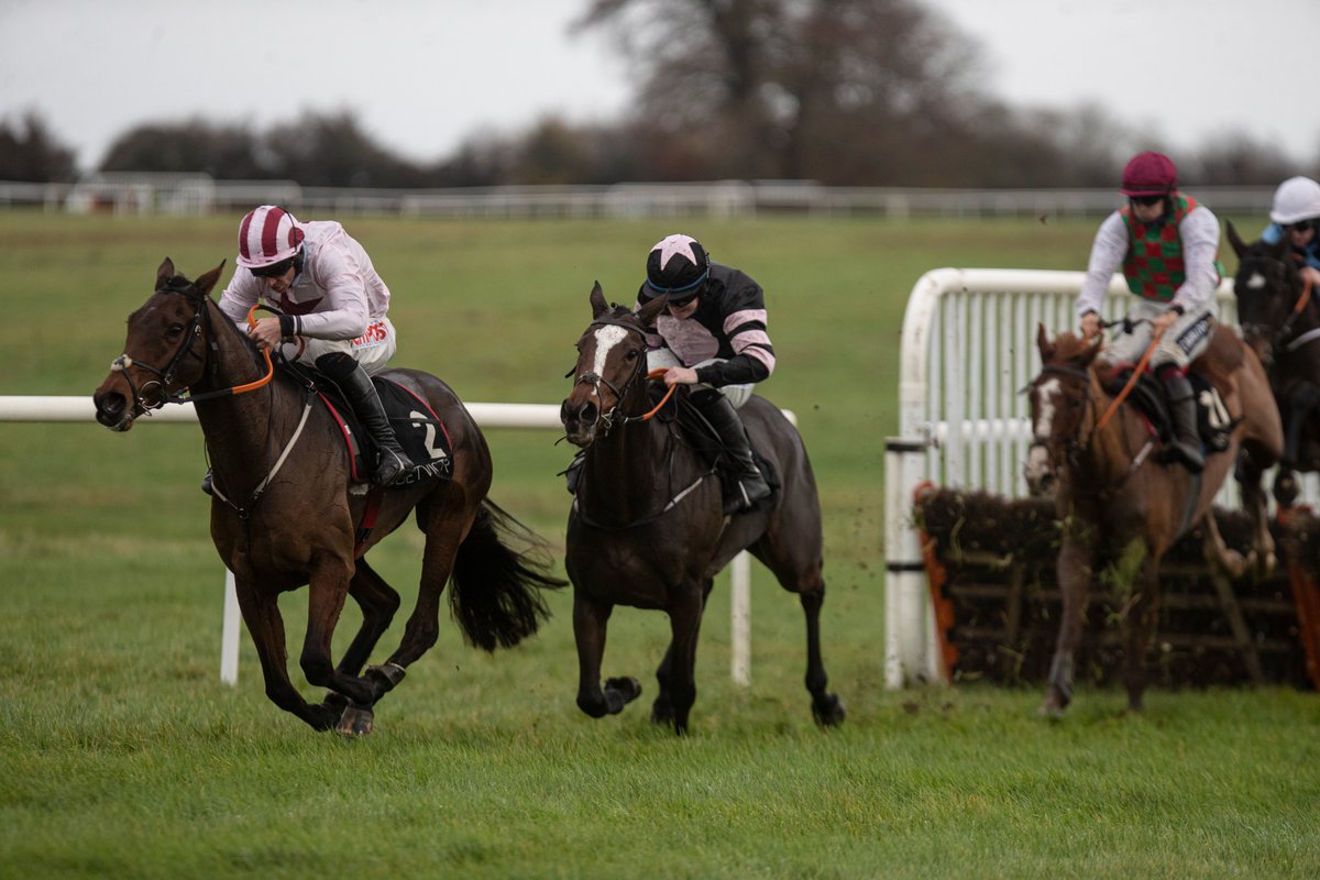 HRIRacing's tweet photo. #TodaysTips - https://t.co/rn3bVyV30G
🏇@BallinrobeRaces ⏰First Race 4.30pm
🏇@DundalkStadium ⏰First Race 5.20pm
Racing returns to #Ballinrobe later this afternoon with #Dundalk following on.
Our previews are here ↙️
https://t.co/rn3bVyV30G #HumbleGlory https://t.co/W2NqwAU8Wf