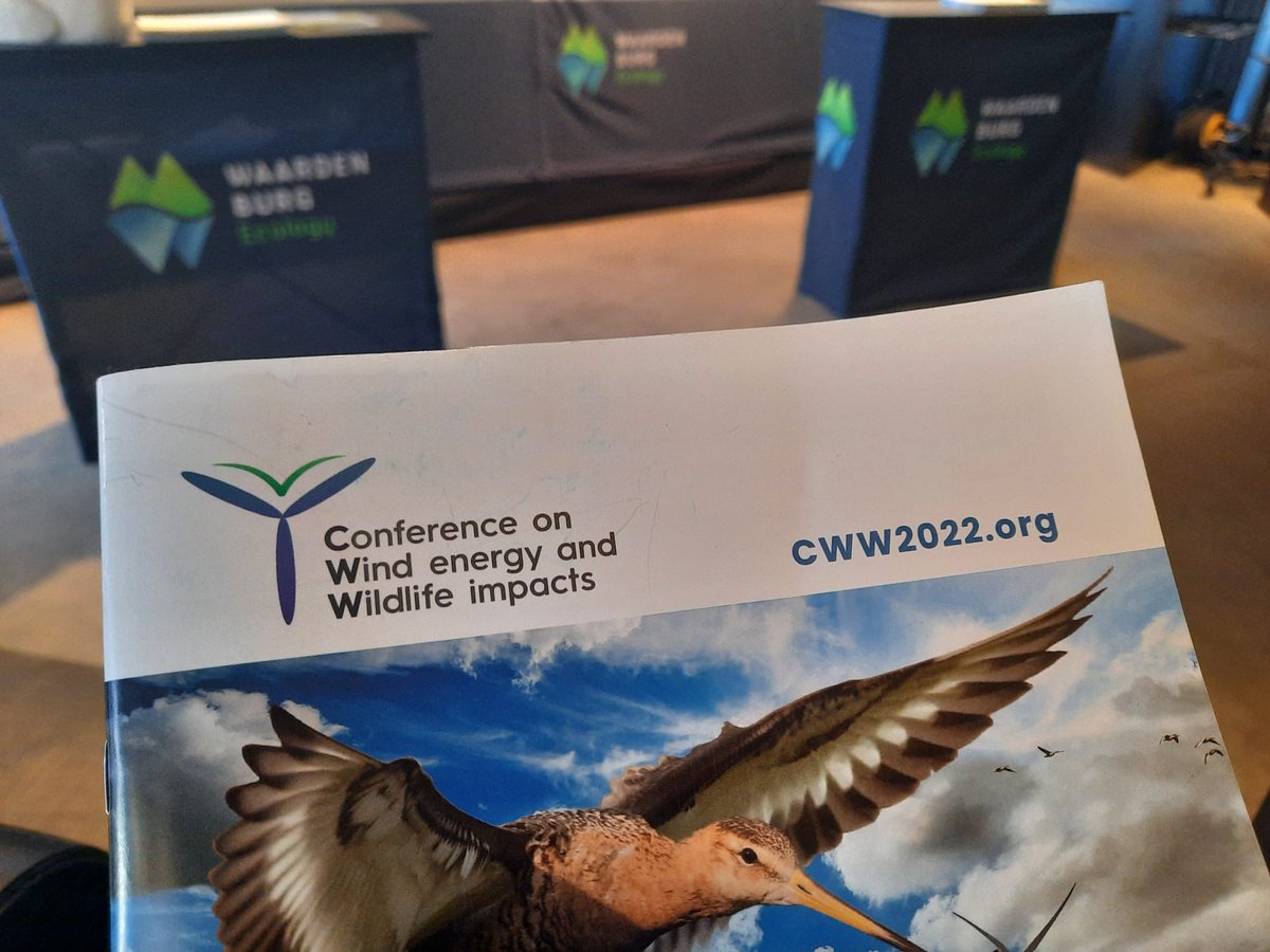 A relaxed start to the final day of #CWW2022 time to reflect on the wealth of information exchanged on the future of wind energy and wildlife impacts. Come and see the CWW2022 wrap up by MiER during the plenary closure