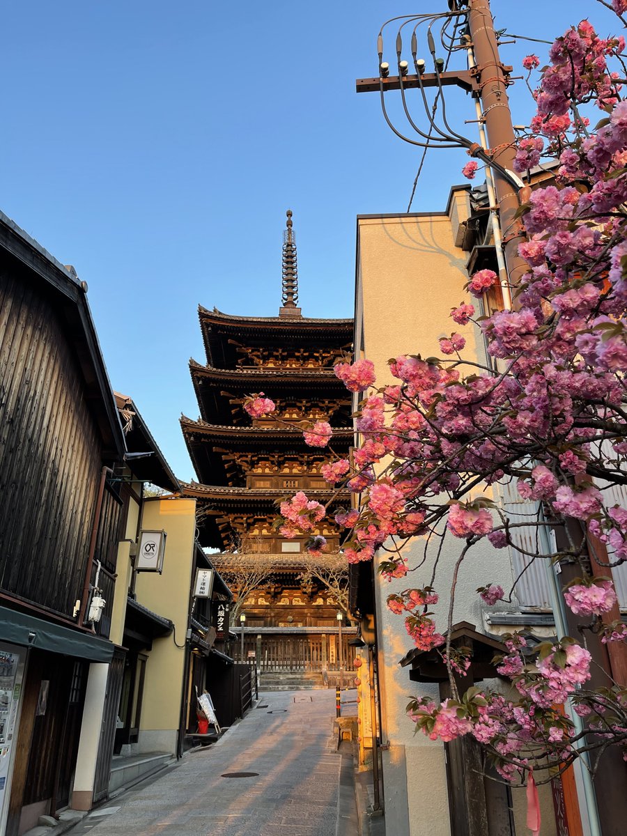 tokyovisite's tweet photo. Bon vendredi☀️ https://t.co/CZsxiIvxbU