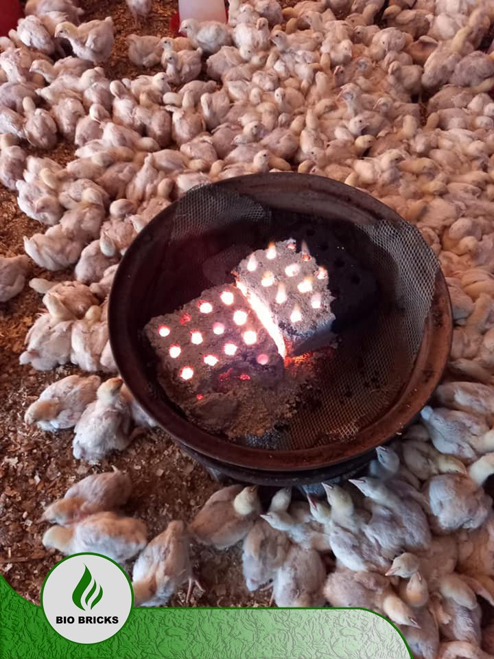 Bio_Bricks's tweet photo. Happy Friday fam let our #biobricks be your heat supplier, one brick burns up to 5hrs without any smoke or bad odor and can be used for various types of purposes for only R30 per brick.
#biobricks #heatcreatedbynature #braai #cook #coopheating #farming https://t.co/t5K9H71geD