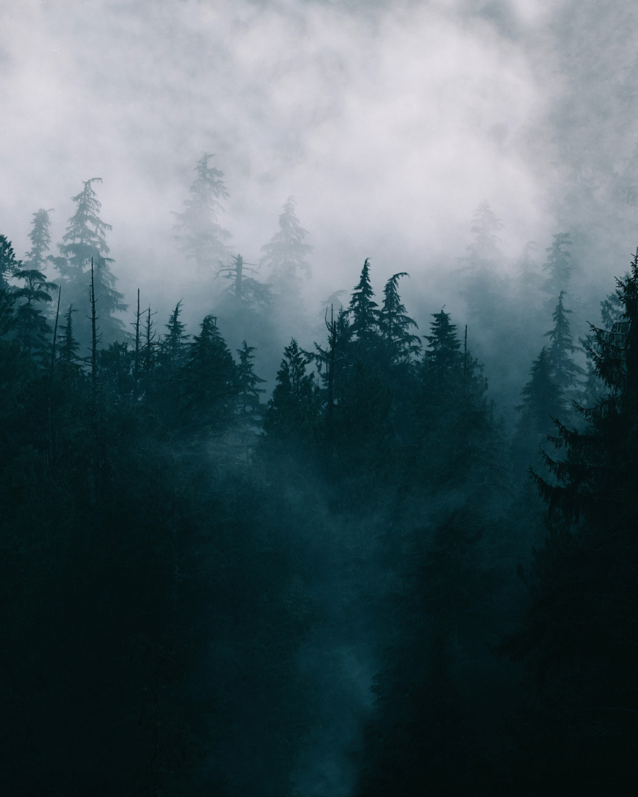 archillect's tweet image. 