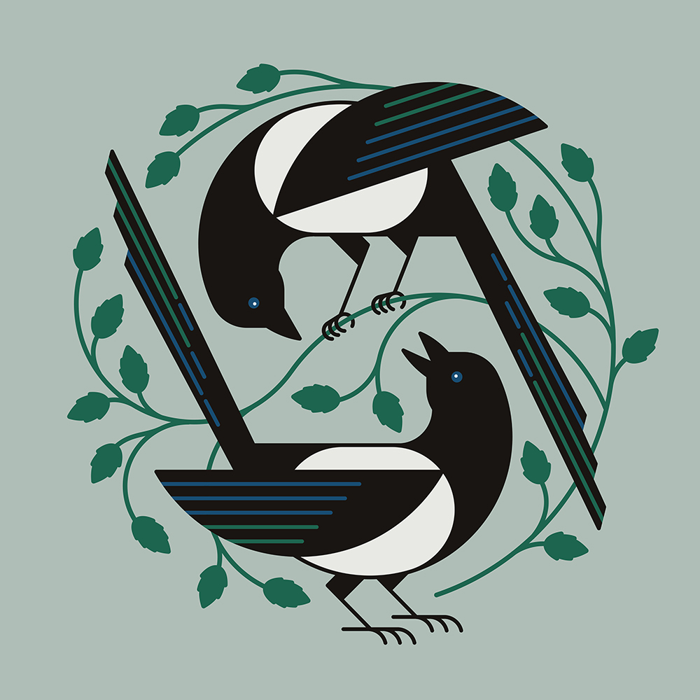 Two For Joy
1/1
Listed on the secondary for 375 tz
objkt.com/asset/hicetnun…
#tezosart #birds