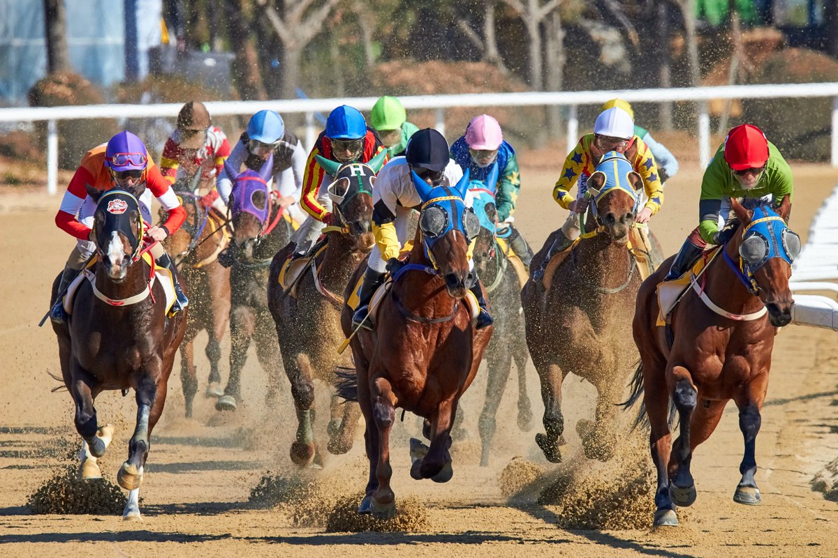 Derby Stars (@derbystars_hq) on Twitter photo Today is grand National in 🇬🇧! One of biggest horse race in the world😁
We are giving 5 WL to celebrate this event for followers!
1⃣Make your twitter PFP a Derby’s stars horse today
2⃣Follow <a href="/DerbyStars_HQ/">Derby Stars</a> and RT this tweet
3⃣Leave a comment with #grandnational #derbystars tags Today is grand National in 🇬🇧! One of biggest horse race in the world😁
We are giving 5 WL to celebrate this event for followers!
1⃣Make your twitter PFP a Derby’s stars horse today
2⃣Follow <a href="/DerbyStars_HQ/">Derby Stars</a> and RT this tweet
3⃣Leave a comment with #grandnational #derbystars tags