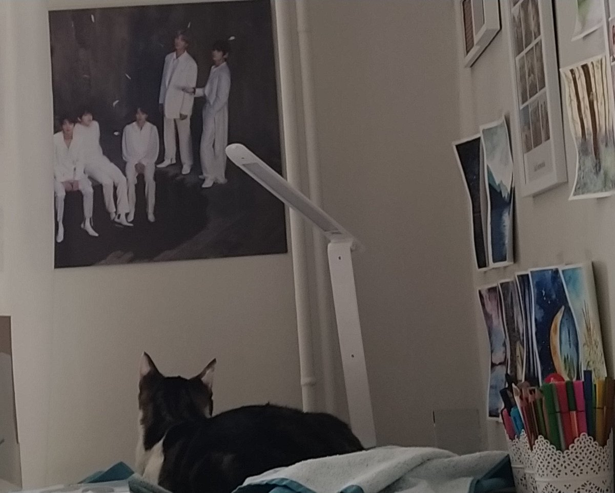 shadowTae02's tweet photo. Kot sobie siedzi na biurku i ogląda BTS 😂😂😂😂 https://t.co/d5yx1NmyeO