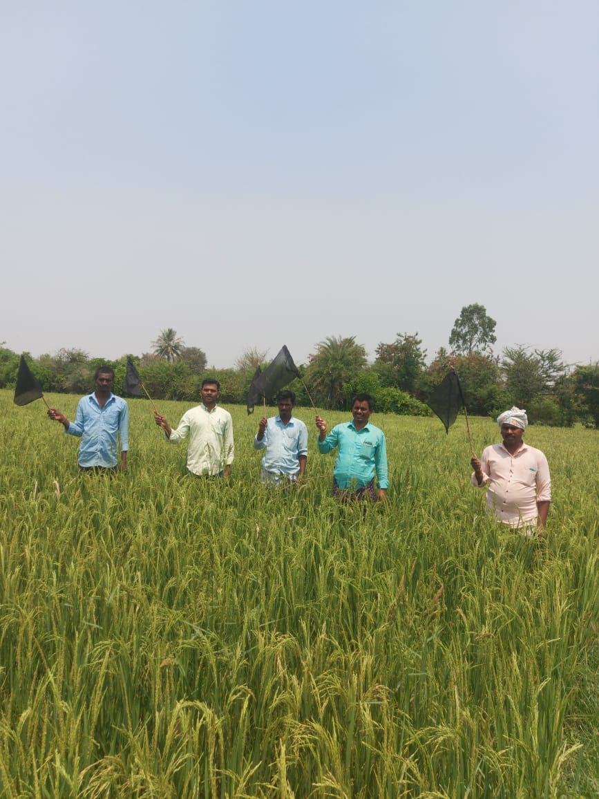 mahesh Yadav mailagadda (@bpedda1) on Twitter photo 