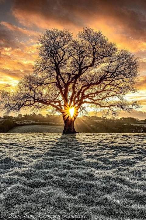 Good Morning✨🌴🍃💚🍀🌿💜💗💙🌼❤☕🙏💕