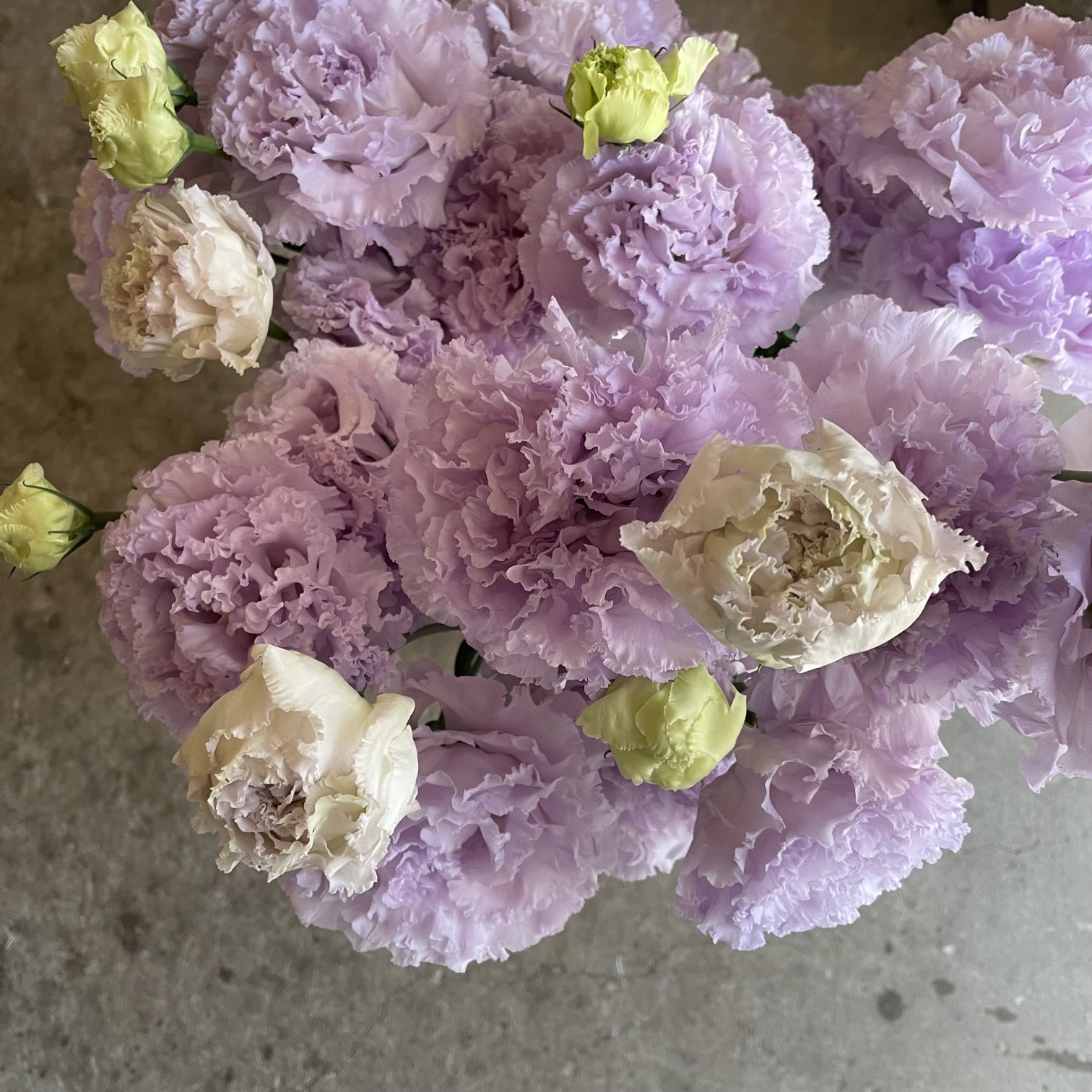 ハナラボノート Hanalabonote Twitter