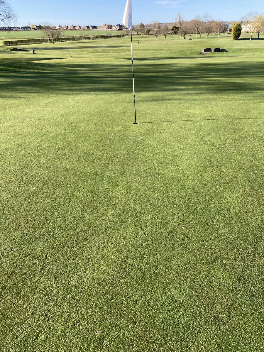 PontelandGc's tweet photo. Really pleased with where we stand after 2 renovation’s since early February and 104 Tons of sand applied. #progress https://t.co/QAzR9GZHr6