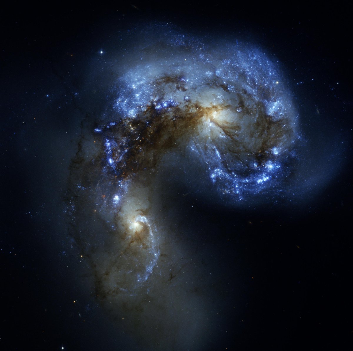 Space tweet media