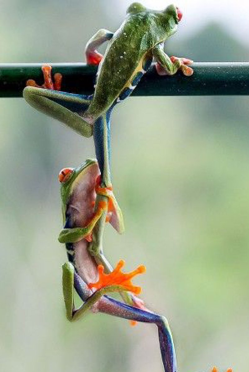 ai_azman's tweet image. Bon appetite #Balandis Happy Friday to you. Weekend is almost there, hold on tite 🌹💞😂🙏🎶