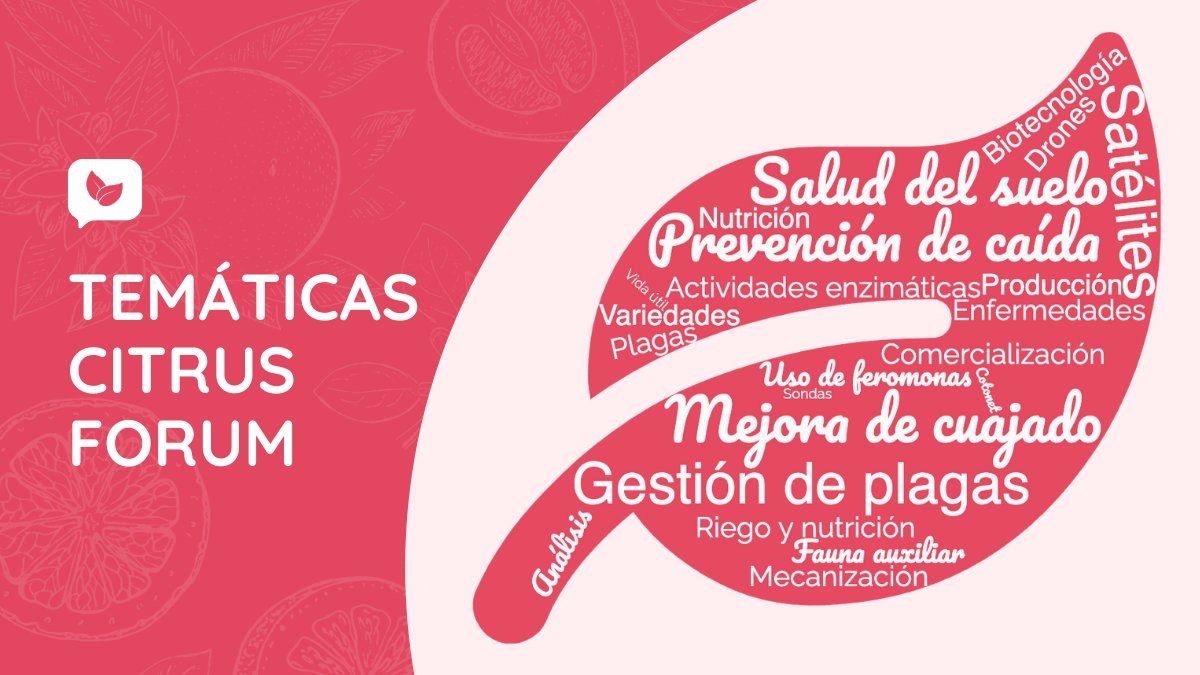 🍋 Estamos a puntito de sacar el programa completo de #CitrusForum... ¡vais a flipar! 😱

🍊 Pero para ir calentando motores, os adelantamos algunos de los temas que se tratarán en el evento.

🧐 ¿Cuál te parece más interesante?

+ info en: citrusforum.es/#tematicas