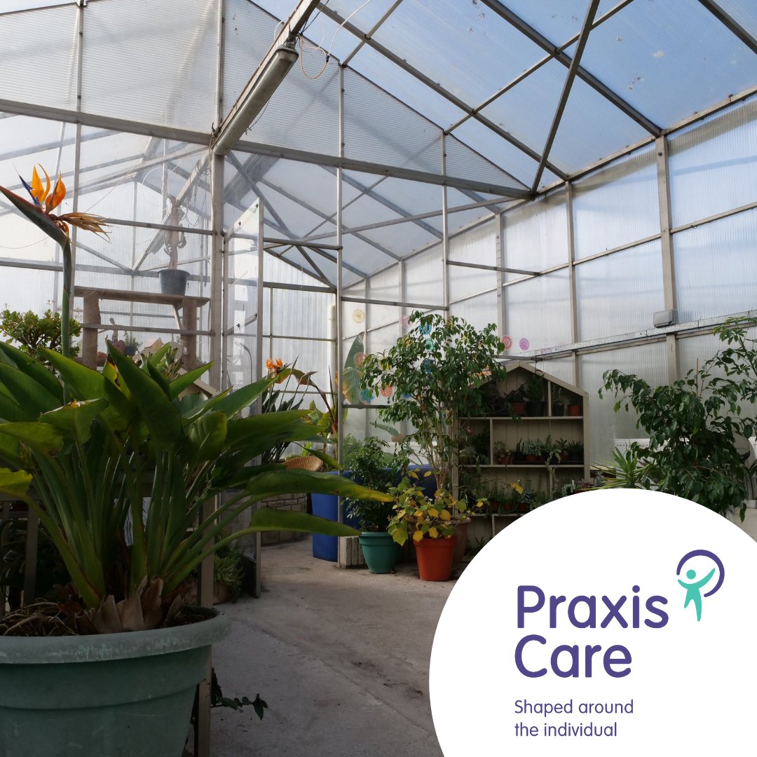 praxiscare's tweet photo. This week is #CommunityGardenWeek 🌱🌻🍄
Gardening is a very popular activity at many of our services and we love getting out to do some work in the sun whenever we get the chance!
#MakeADifferenceDaily #ShapedAroundTheIndividual #PersonCentredCare #Gardening https://t.co/kCN7nsM2rJ