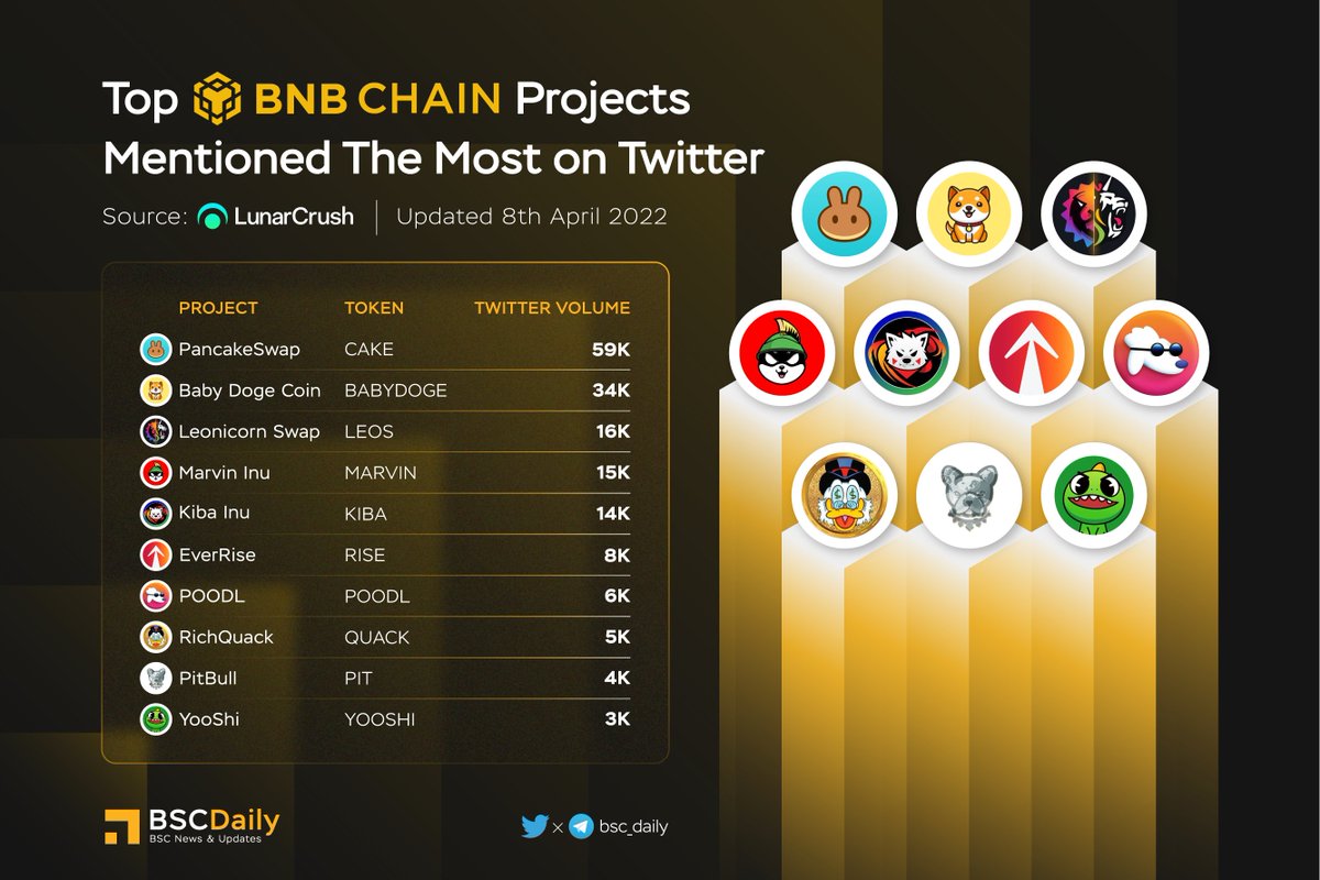 BSCDaily tweet media