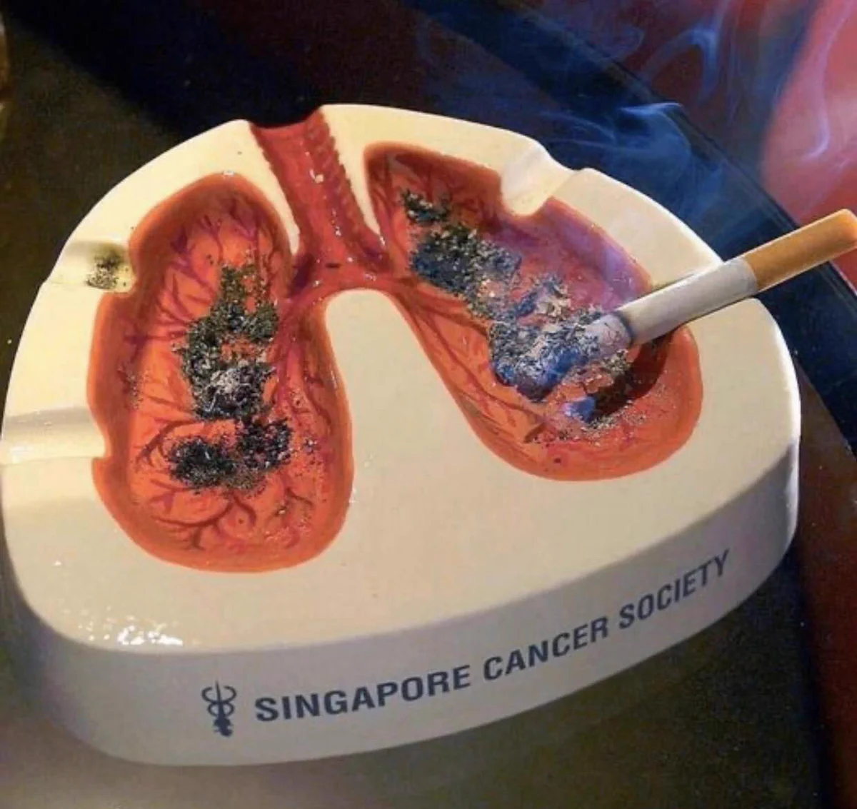 使えば禁煙できそうな灰皿とは！？灰皿ならぬ肺皿がリアルww