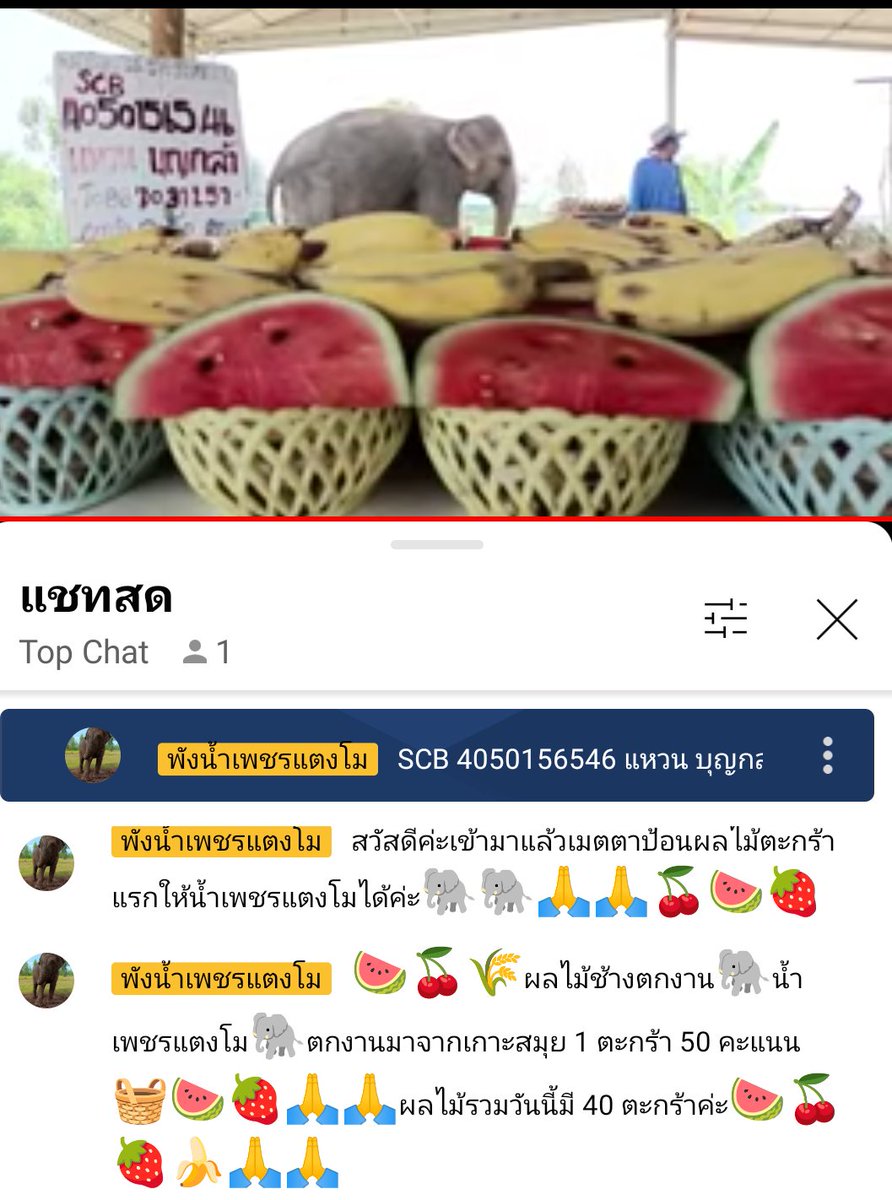NampetchFamily's tweet photo. ผลไม้รวมวันนี้มี 40 ตะกร้าค่ะแวะเข้ามาเมตตาป้อนได้นะ��ะ https://t.co/Mue4O9b5b6