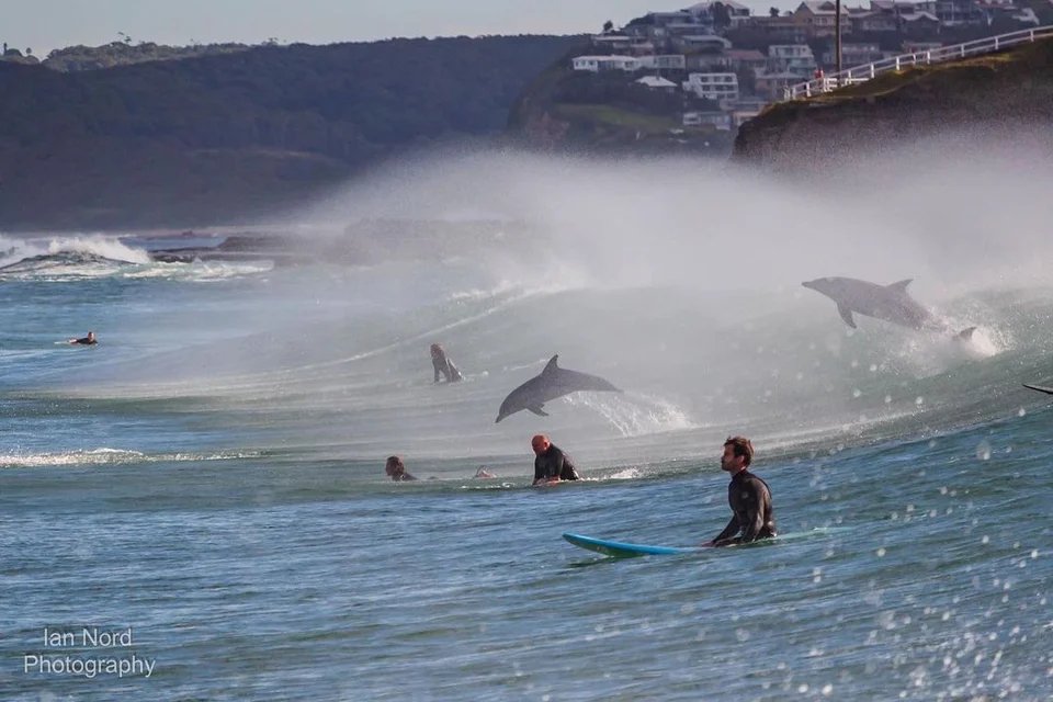 Join our #MedicalOncology team in Newcastle as a #ClinicalTrial Fellow. One of NSW busiest clinical research teams, gain wide experience and see many opportunities. Immediate start, FT or PT, and multi-year possible. calvarycareers.mercury.com.au/ViewPosition.a… Credit: Ian Nord