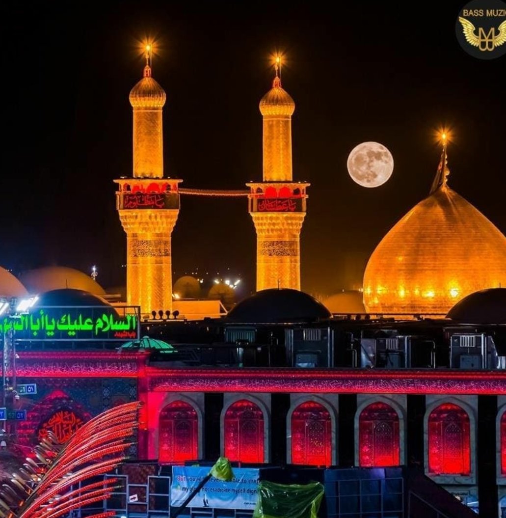 محسن .رحیمی tweet media