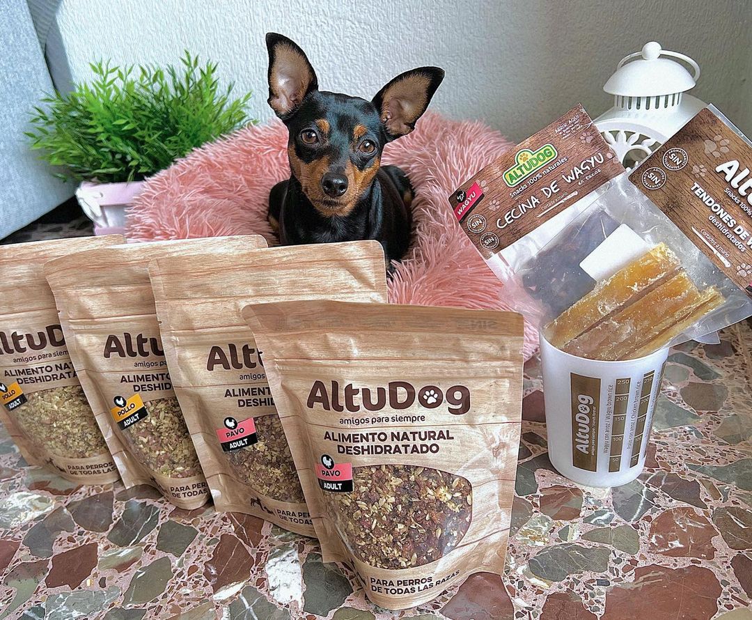 Altudog's tweet image. Shiva (@shiva_mini_pinscher)🐶 os quiere enseñar sus nuevos menús favoritos, el menú de pollo🐔 y el menú de pavo🦃, y de premio por ser tan buena: cecina y tendones de wagyu. 🐃
.
#AltuDog #alimentonatural #alimentonaturaldeshidratado #comidaparaperros