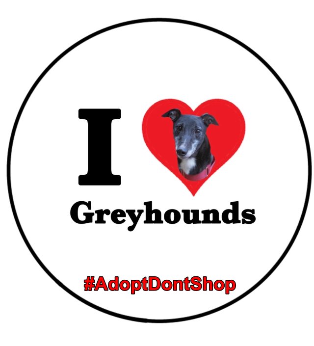Greyhound Rescue Fife tweet media