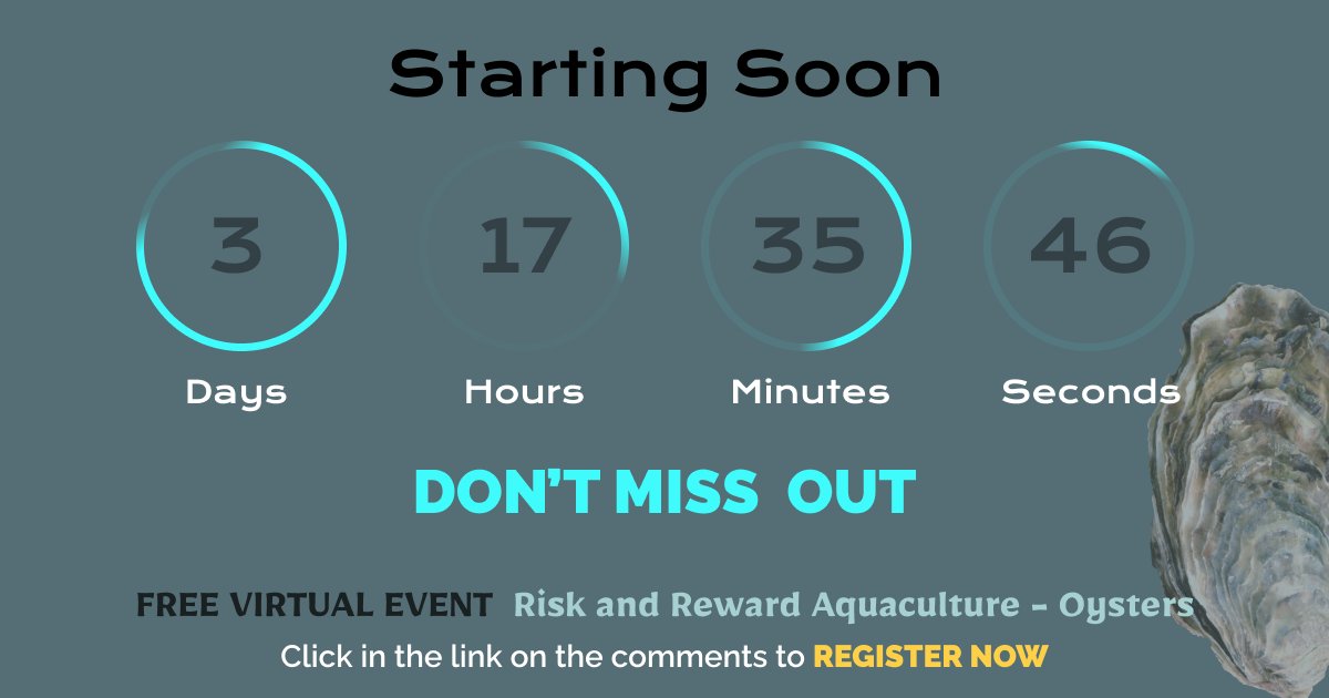 Our Risk and Reward #Aquaculture - #Oyster event is starting soon. Join us this 12Th of April from 9 am to 3pm (GMT +10:00) Brisbane.

Don't miss out, if you haven't register yet CLICK HERE to watch the Live event: cvent.me/Z1XXam?RefId=h…
#oysteraquaculture #oysterfarming