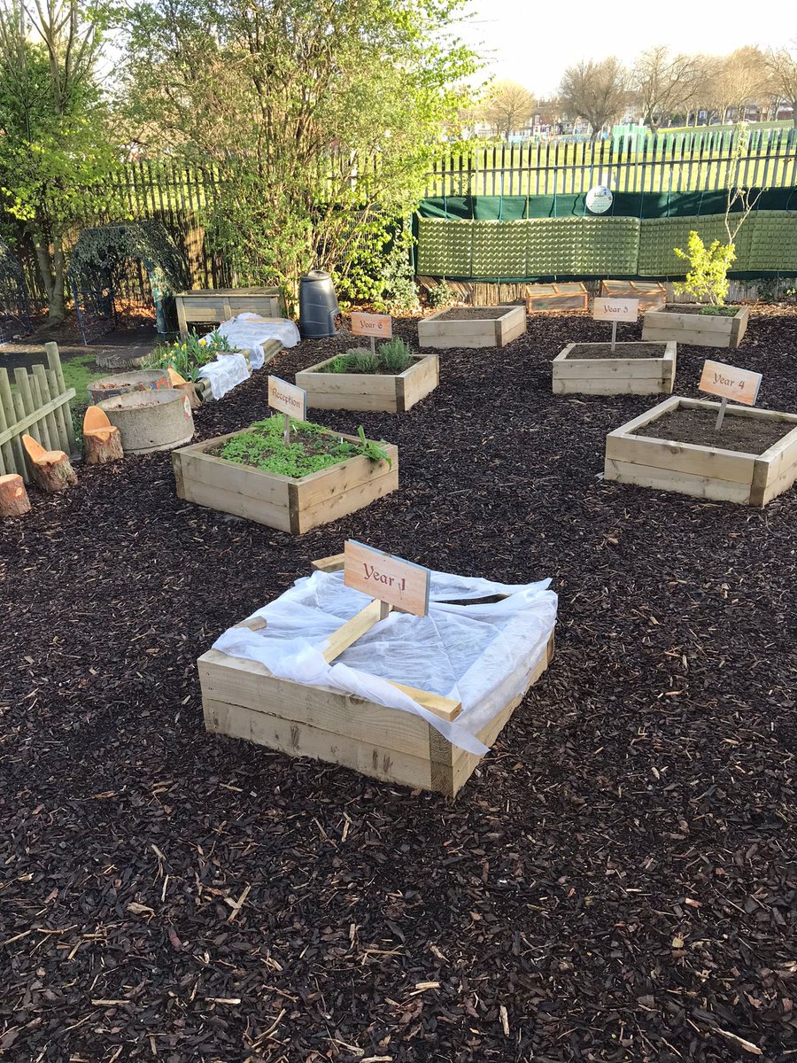 AdderleySchool's tweet photo. Good morning ☀️ here’s a spring view of our #allotment. We can’t wait to see all the flowers and veg in full bloom next term! 🌼🌼🌼 @timetogarden2 @BirminghamEdu https://t.co/q283Wsc9X1