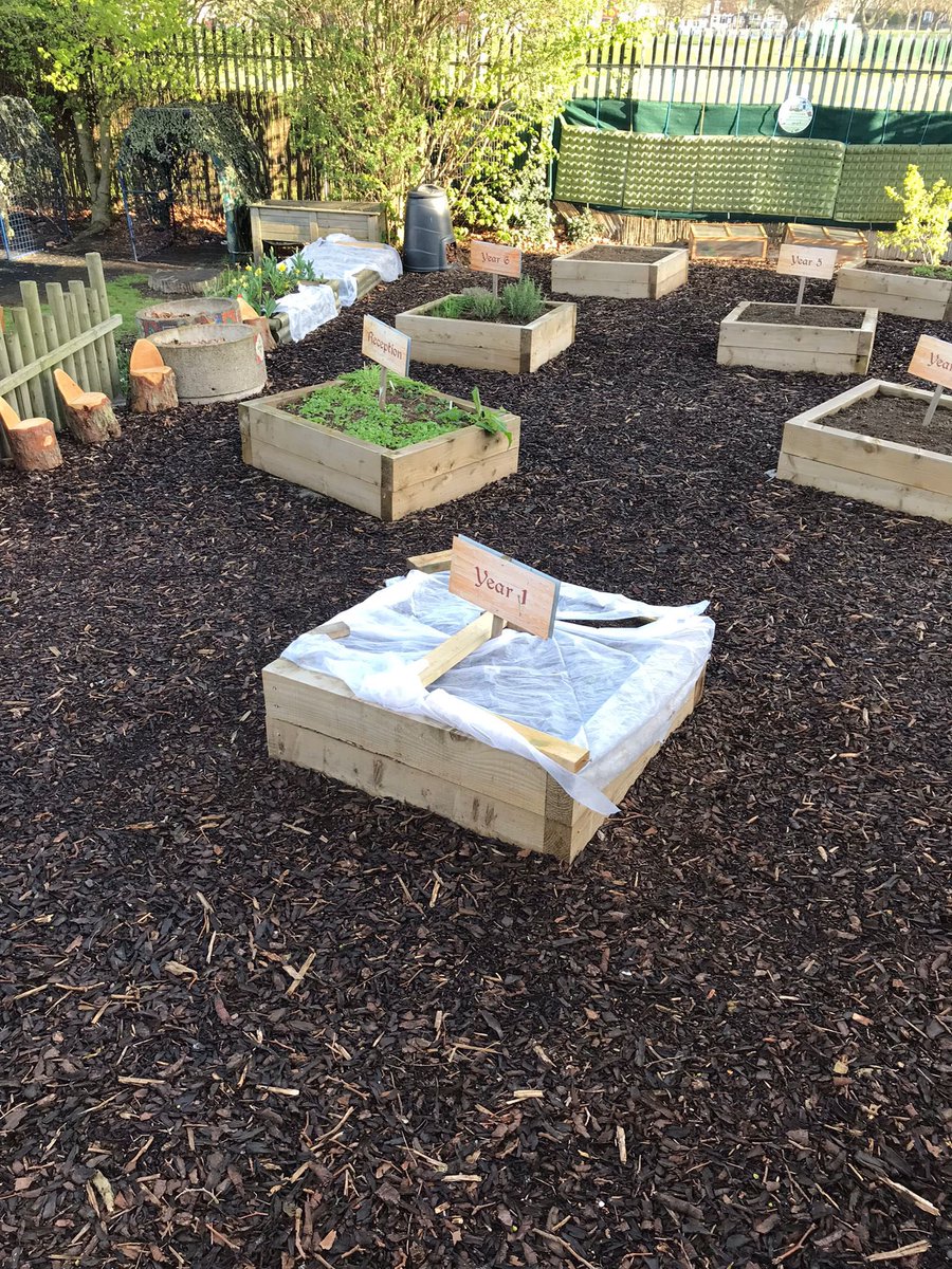 AdderleySchool's tweet photo. Good morning ☀️ here’s a spring view of our #allotment. We can’t wait to see all the flowers and veg in full bloom next term! 🌼🌼🌼 @timetogarden2 @BirminghamEdu https://t.co/q283Wsc9X1