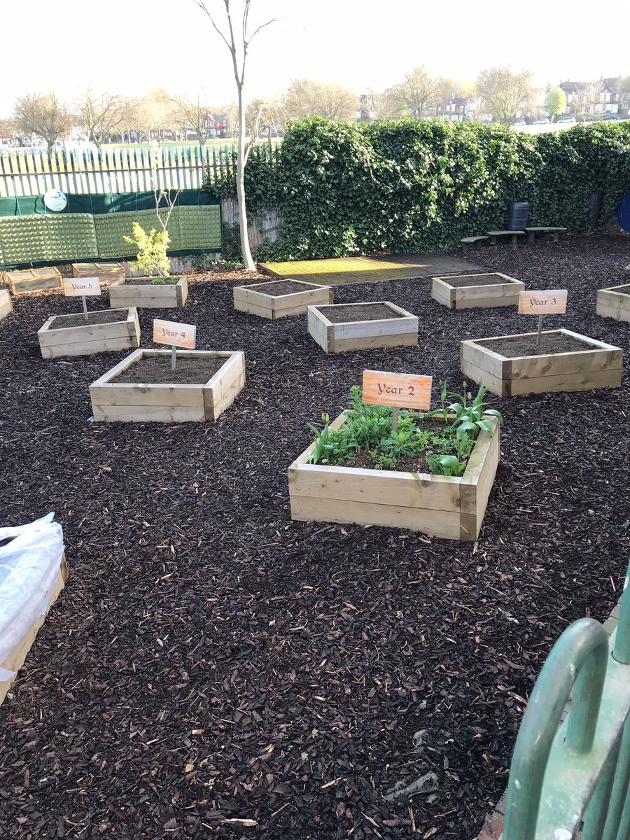 AdderleySchool's tweet photo. Good morning ☀️ here’s a spring view of our #allotment. We can’t wait to see all the flowers and veg in full bloom next term! 🌼🌼🌼 @timetogarden2 @BirminghamEdu https://t.co/q283Wsc9X1