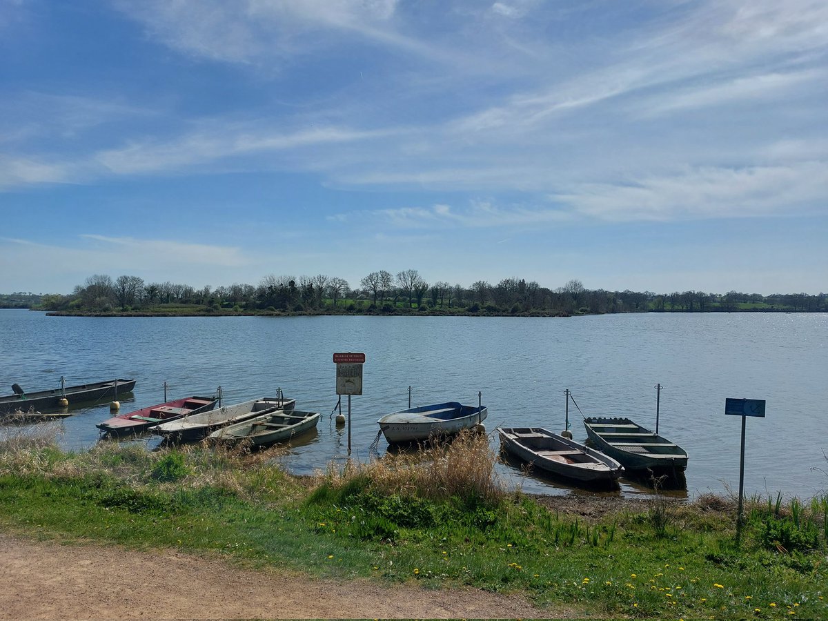 LesLaitsChauds's tweet photo. Bonjour tout le monde,
Aujourd'hui on vous met en avant le lac de ribou 😉😊✅
Un superbe écrin de verdure à seulement quelques minutes du centre-ville de Cholet 🔴⚪
#leslaitschauds #cholet #villedecholet #verdure #lac #Ribou #photo https://t.co/bMRQynwgS5