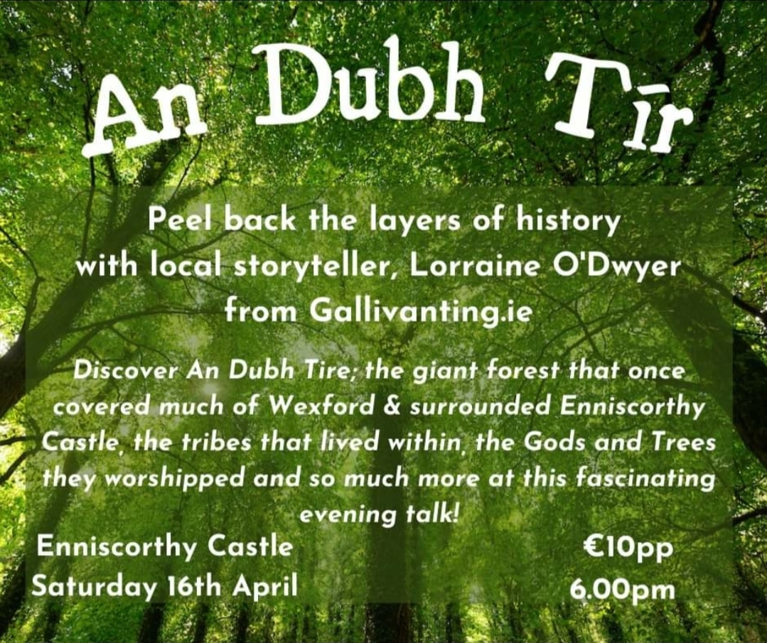 Whos up for some stories!? @EnniscorthyCast Sat 16th at 6pm. I'll be telling stories of the forest Dubh Tir, the tribes, the rituals, the magic and the trees of course! Hope to see you there!! #thingstodoinwexford