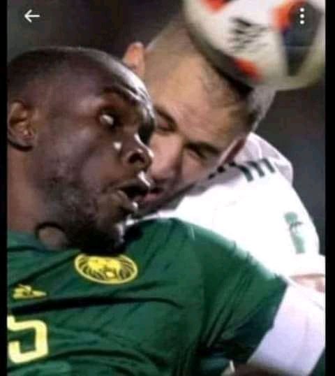#replay_match_algeria_cameron