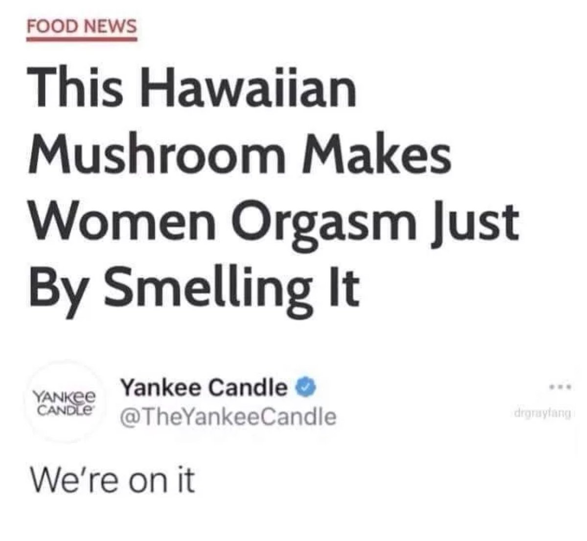 Where is this shroom??