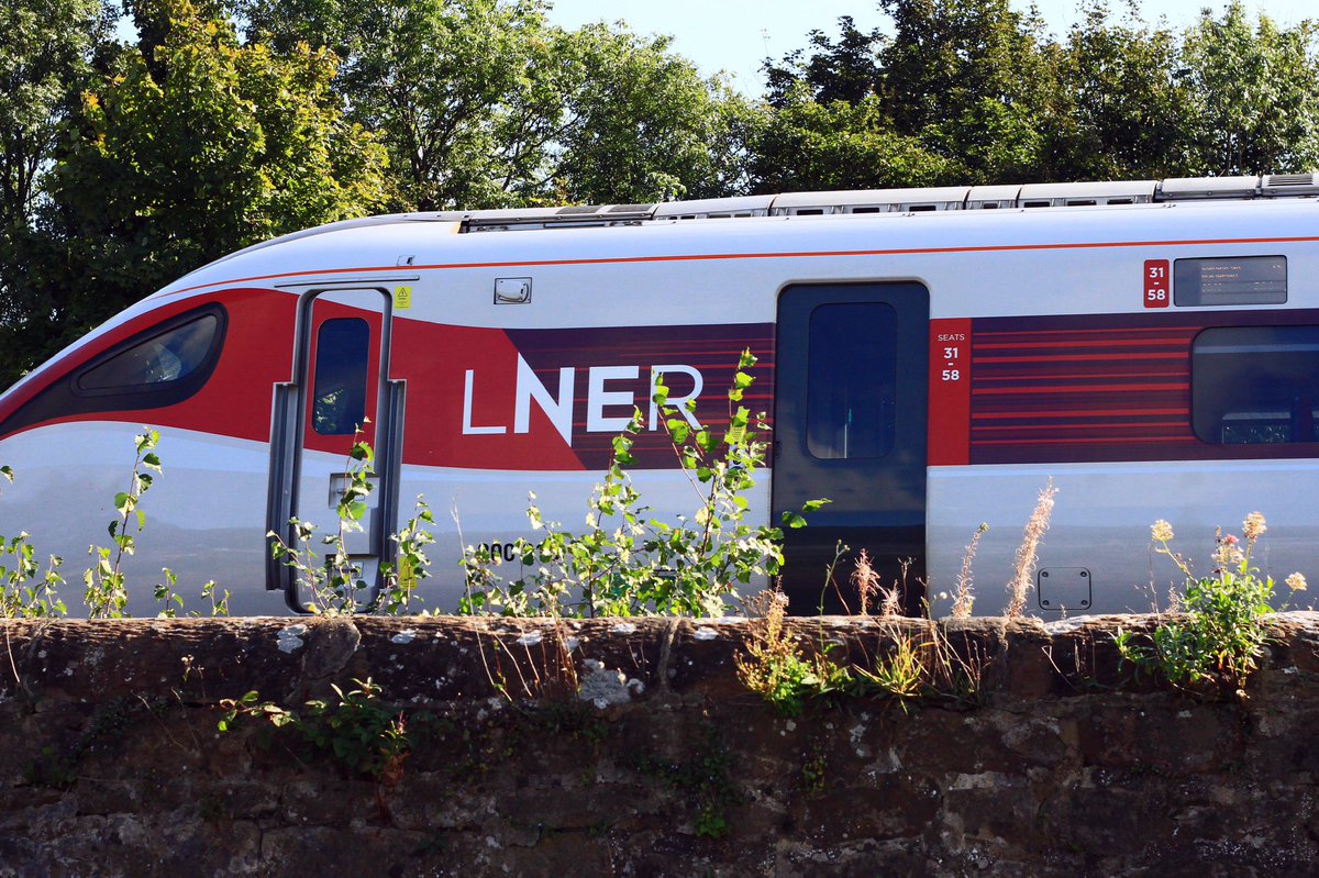 MichaelSadgrove's tweet photo. @NCEAChaplain @TVCRP @TVLRUG Sometimes we welcome exotic visitors to Haydon Bridge on the #TyneValleyLine. Always exciting! https://t.co/a3DvfjXDQy