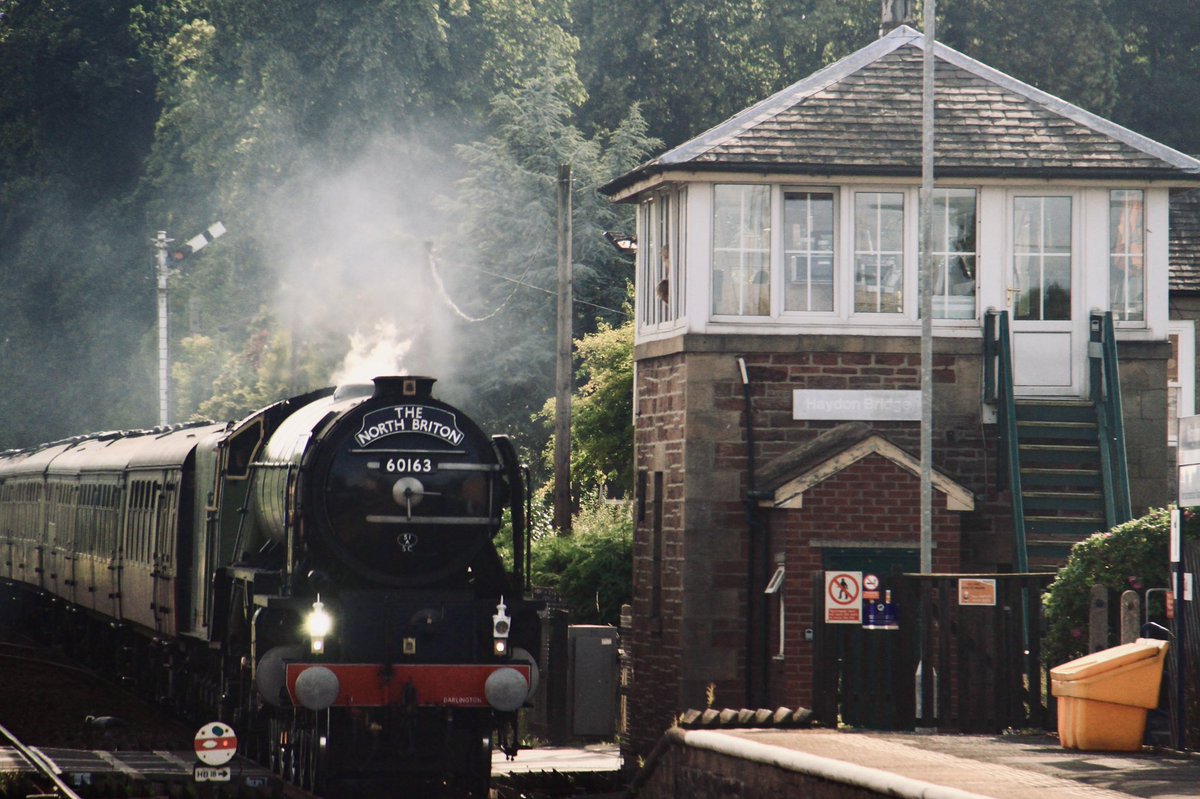 MichaelSadgrove's tweet photo. @NCEAChaplain @TVCRP @TVLRUG Sometimes we welcome exotic visitors to Haydon Bridge on the #TyneValleyLine. Always exciting! https://t.co/a3DvfjXDQy