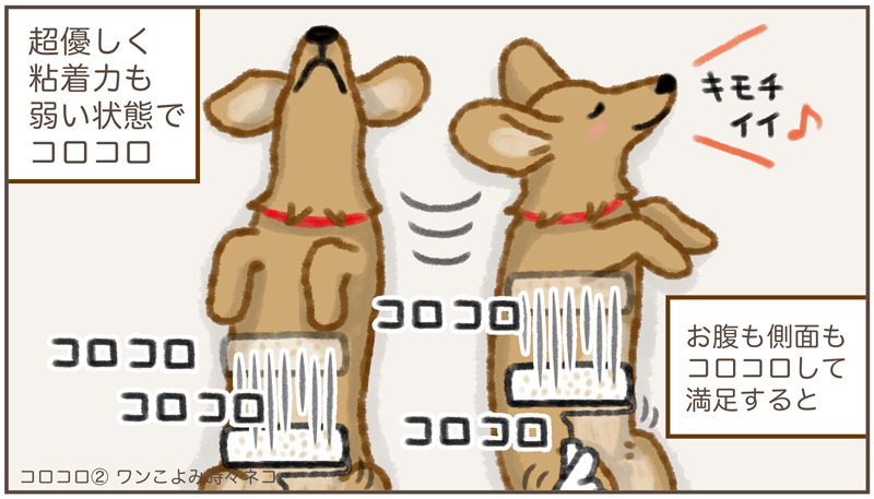 ワンこよみ時々ネコ Grc7pine そう コロコロはエンドレス Twitter