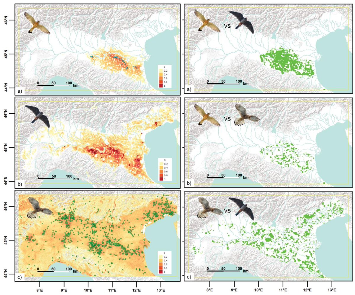 Image a place where 3 small falcon species breed in sympathy since recently. Think about inter-specific competition. And now stop thinking and read our new paper 😊👇 
tandfonline.com/doi/full/10.10…
