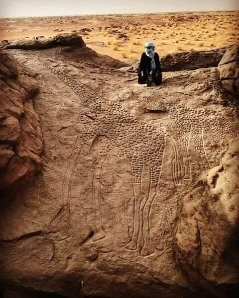 In the middle of the Sahara Desert (Niger region), giraffe patterns carved into rocks, claimed to be about 12000-10000 years old.