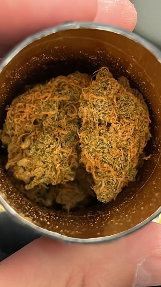 popsp18's tweet photo. Itโs Friday, I ainโt got shit to do but love these redheads #staylifted #Mmemberville #CannabisCommunity #stonerfam #OG18 #cannabisculture ๐ฅ๐ฒ๐จ https://t.co/Ttl49mTUtY