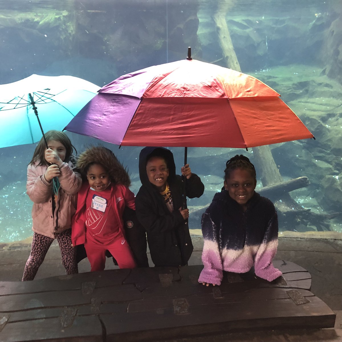 MPS_LucyLaney's tweet photo. These beautiful first graders went on a field trip to visit the @mnzoo today.  For most of the children, who were only four years old when the pandemic hit, this was their very first school field trip. And for some, their very first ride on a school bus. So exciting! https://t.co/UKG4q5Mo0S