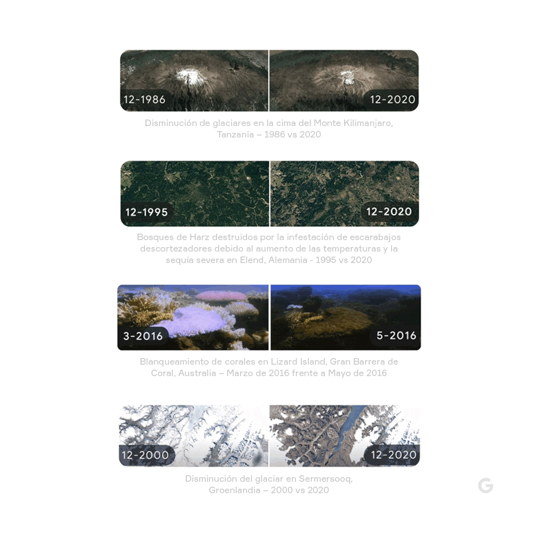 GRUNER tweet media