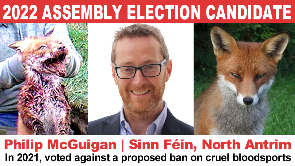 STOP HUNTING NOW Northern Ireland TeamFoxNI 🦊 on Twitter "RT