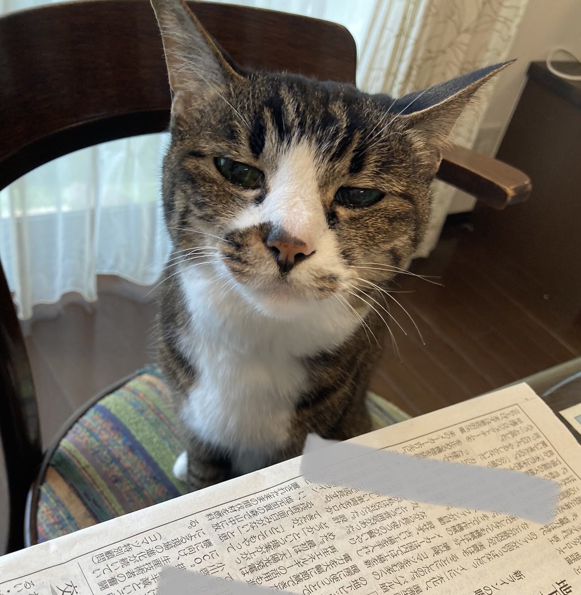 Aiko S Optimal Today Aiko S Optimal Today