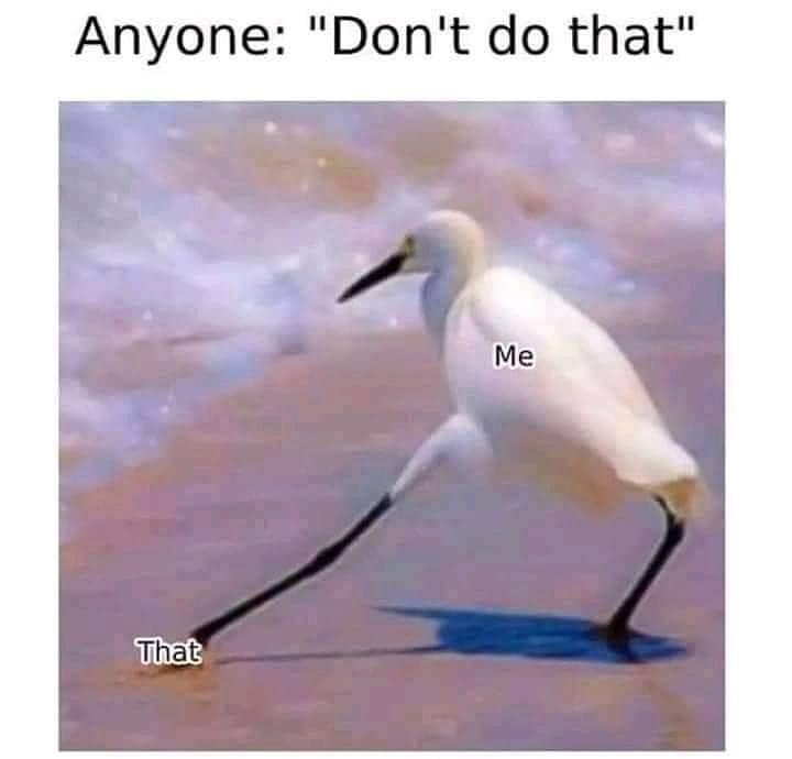 Katrina5Mm's tweet image. #DoingThat #ImAwesomesauce