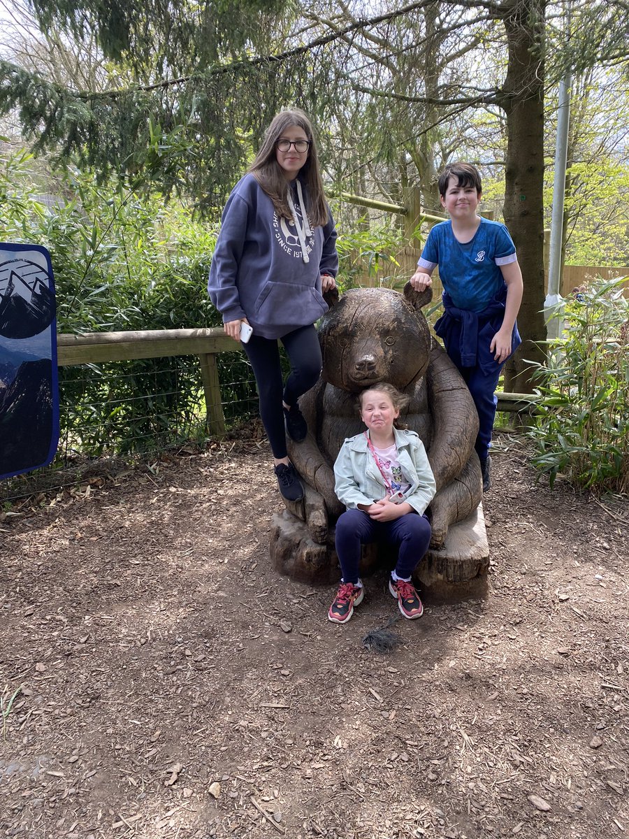 Leigh82's tweet photo. Lovely day out at @EdinburghZoo with my loved ones x
I could have watched the penguins all day, so funny as they stole other penguins rocks 😂 https://t.co/VssO8Kfa1L