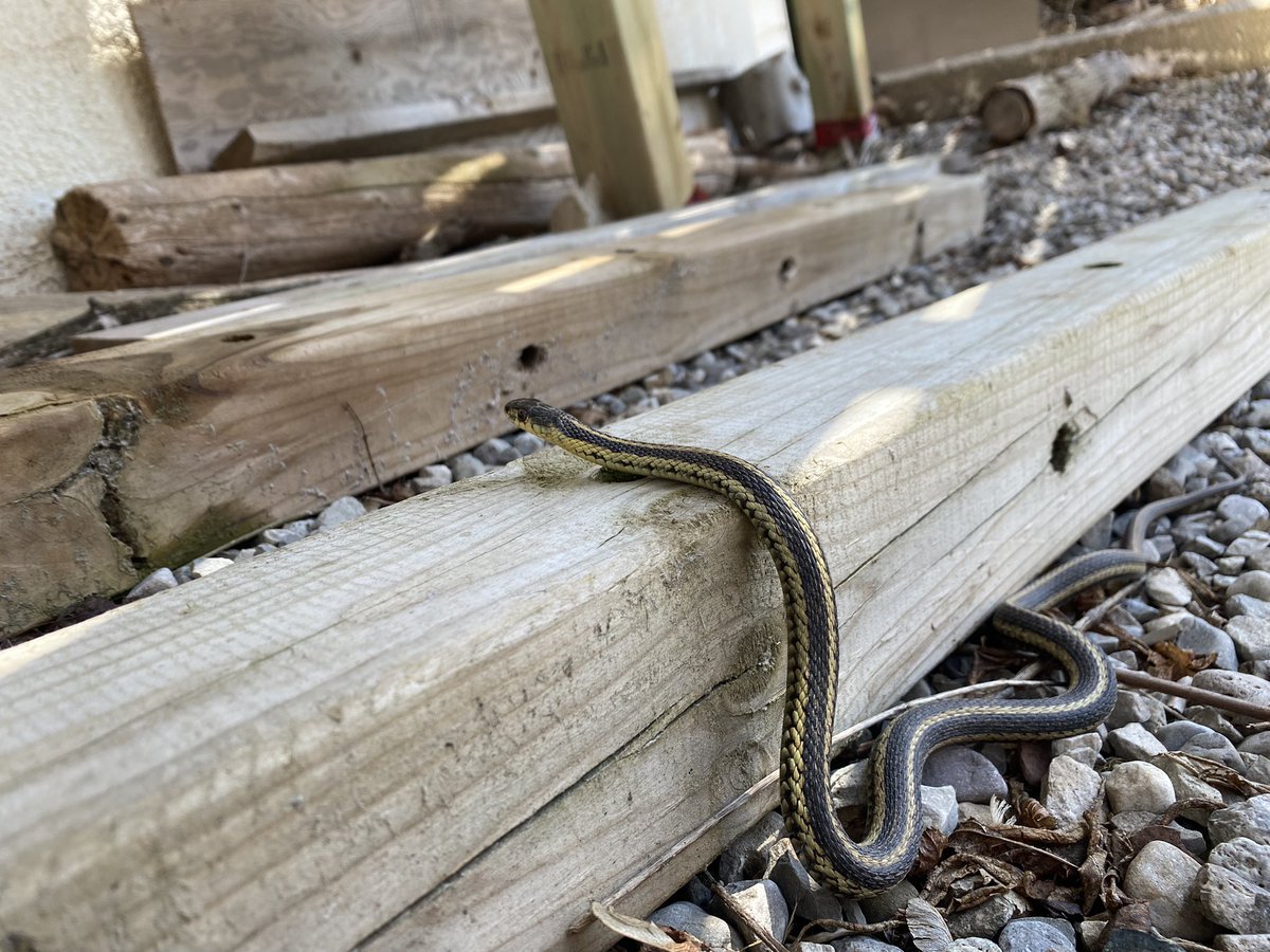 Silver Creek Outdoor Education Centre tweet media