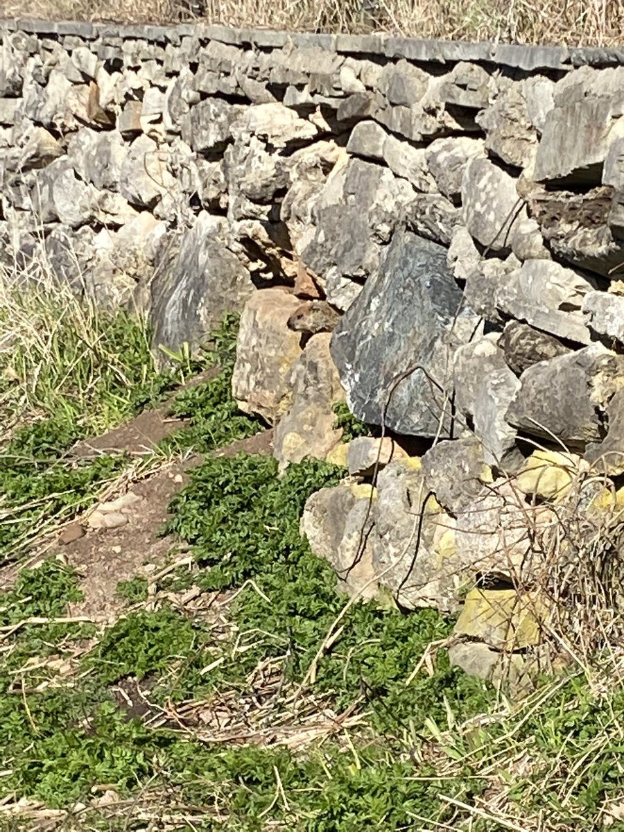 Silver Creek Outdoor Education Centre tweet media