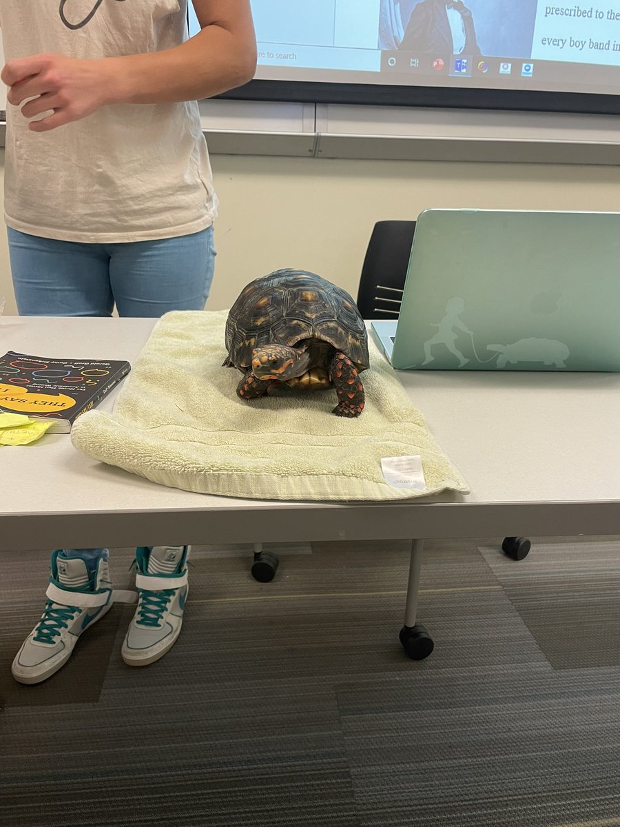 alana1818111's tweet photo. Professor @Doodlez504 reporting for duty.  #sgsx18 https://t.co/qzQHC2SkiA